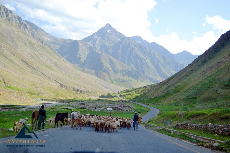 Kaghan Valley Summer Escape