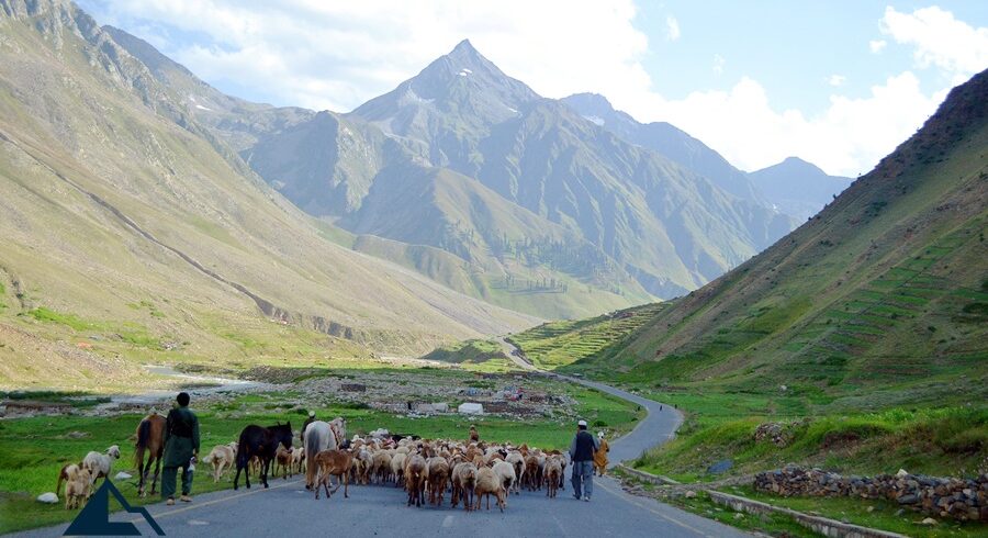 Kaghan Valley Summer Escape