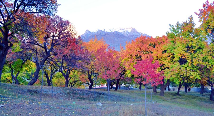 Hunza in Autumn