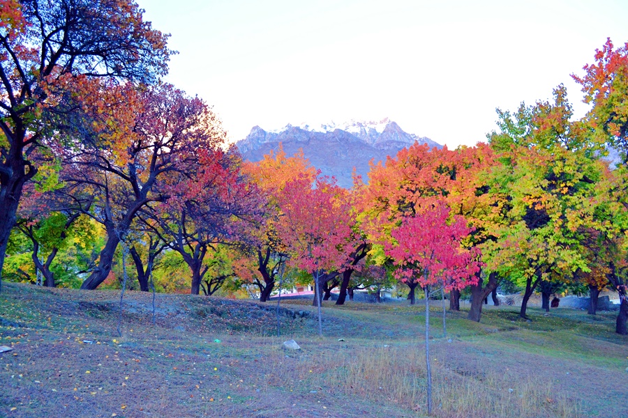 Hunza in Autumn