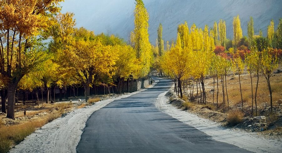 Way to Shigar Valley