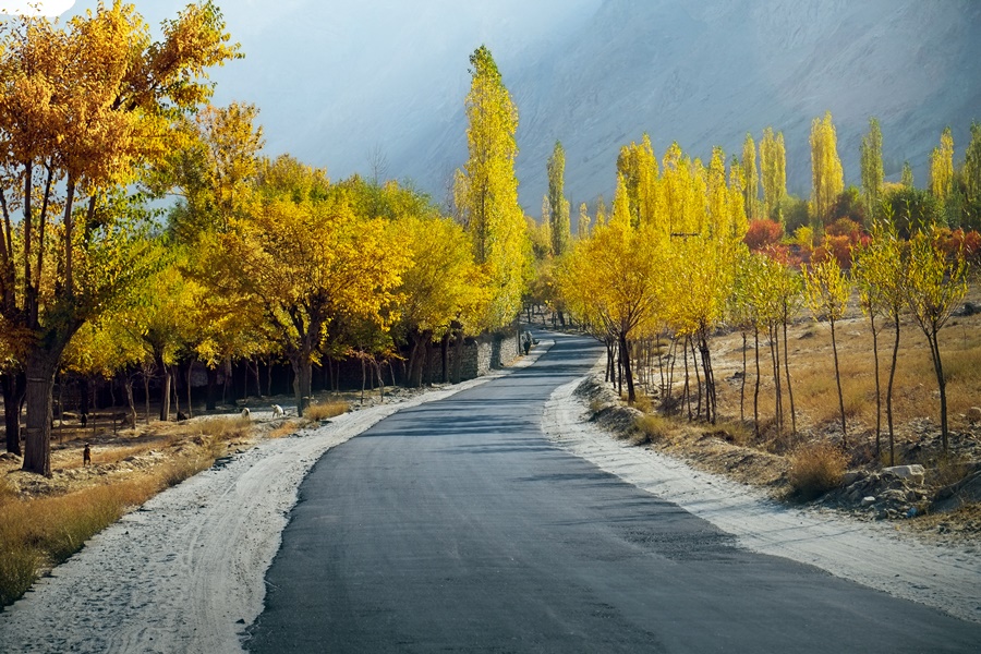 Way to Shigar Valley