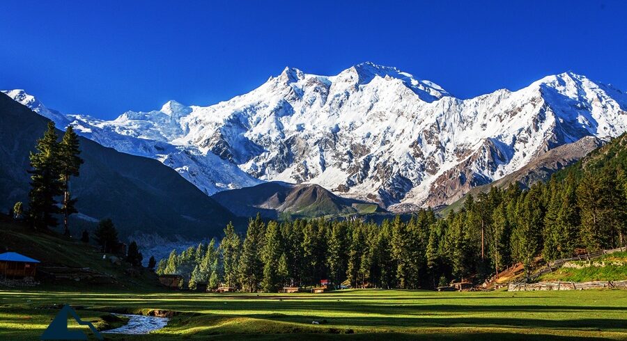 Fairy Meadows & Rakaposhi Trek With Hunza Trip