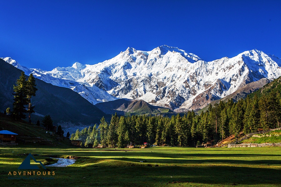 Fairy Meadows & Rakaposhi Trek With Hunza Trip