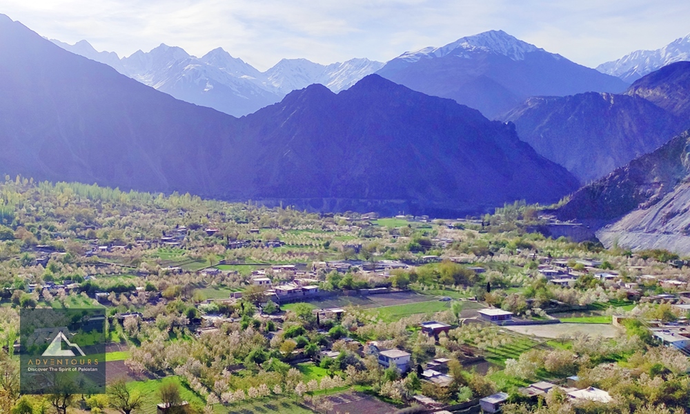 Hunza Blossom Escape