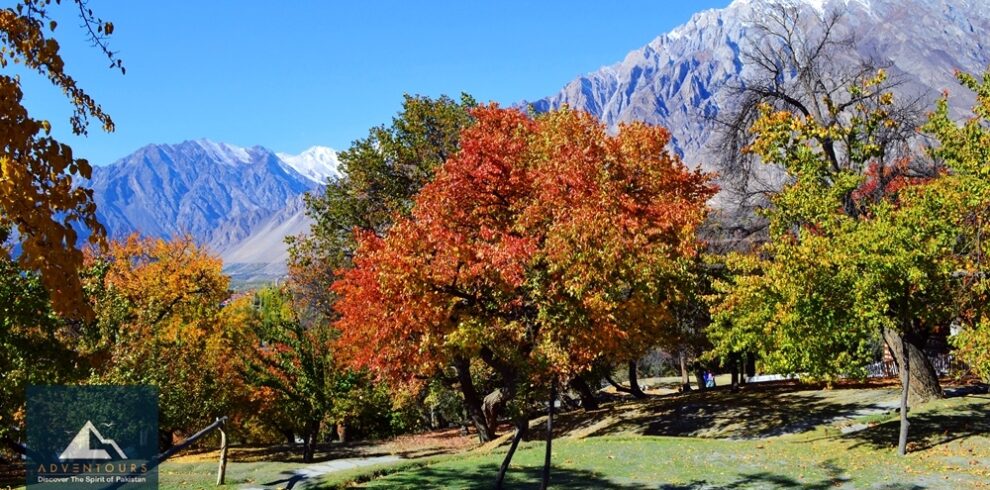 Autumn Panorama of Gilgit-Baltistan