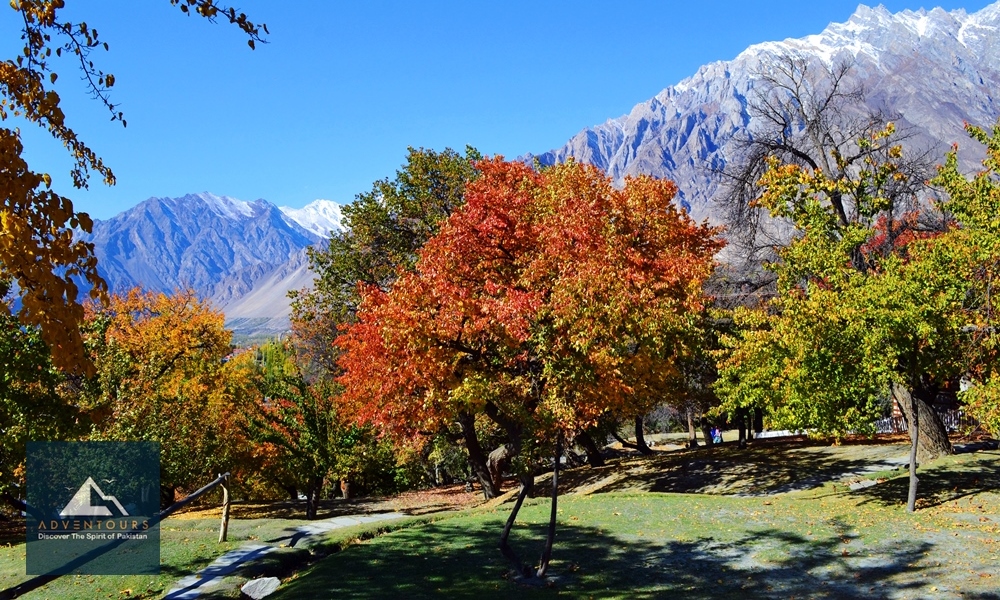 Autumn Panorama of Gilgit-Baltistan