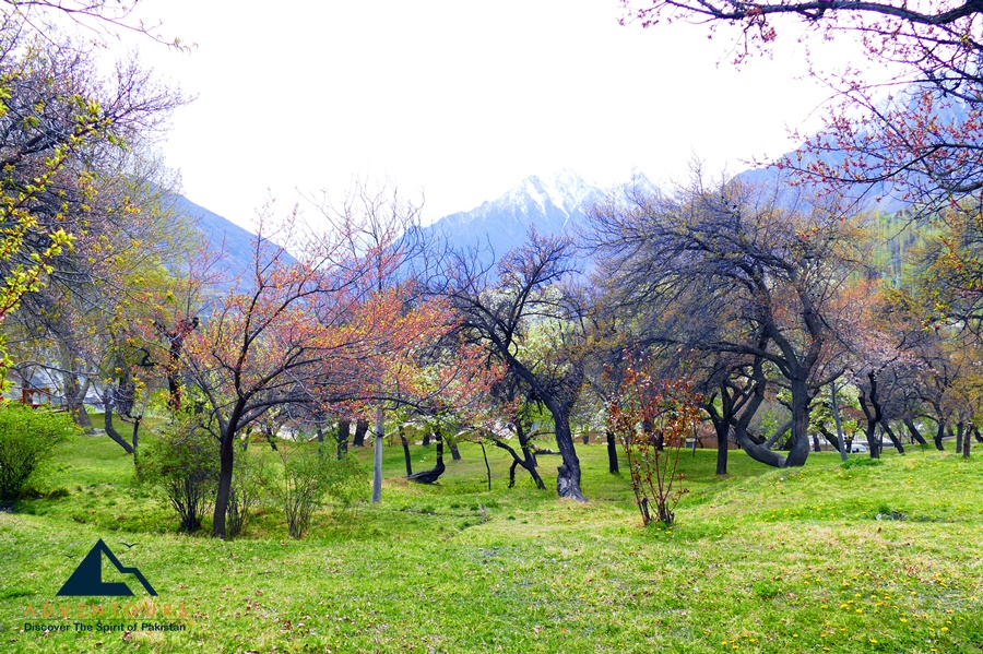 Karakoram Highway Spring Journey