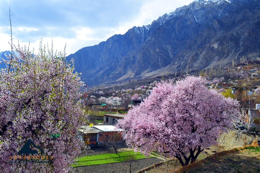 Karakoram Highway Spring Journey