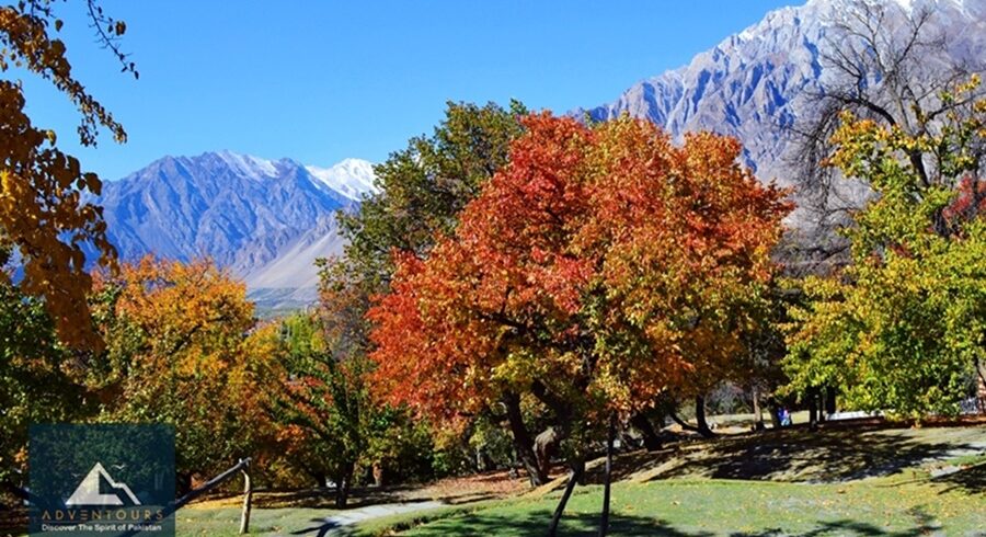 Autumn Panorama of Gilgit-Baltistan