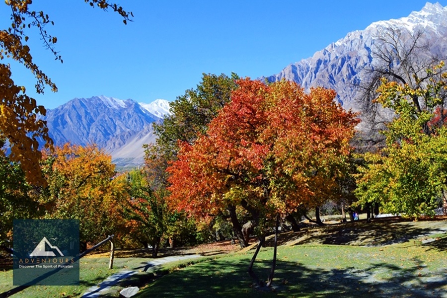 Autumn Panorama of Gilgit-Baltistan